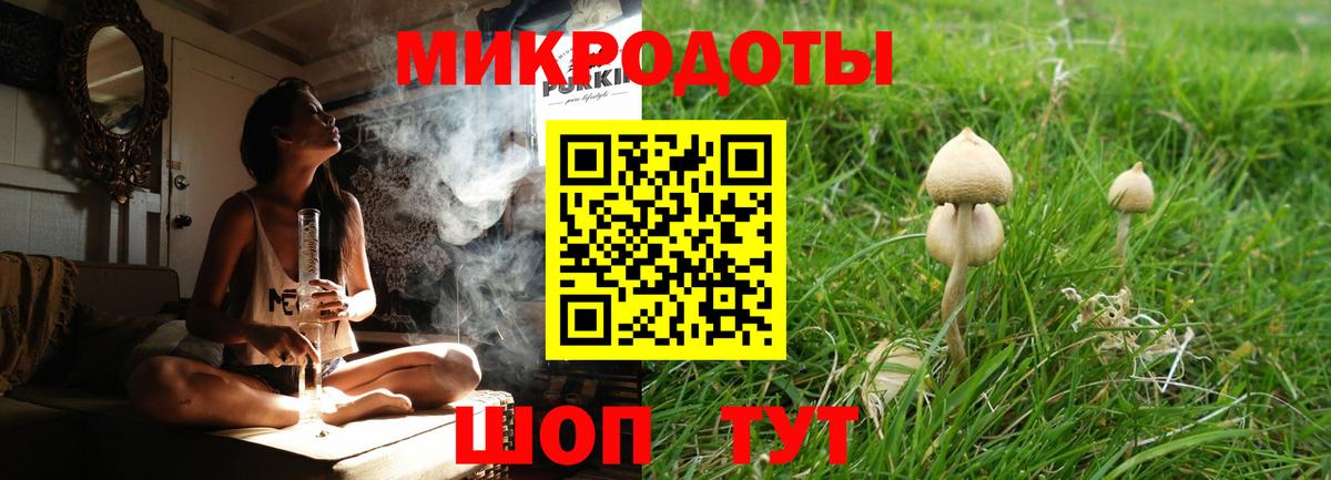 Галлюциногенные грибы Cubensis Павловский Посад